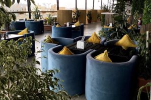 سيلينا لاونج الطائف (السعر + المنيو + الموقع + أراء الناس)