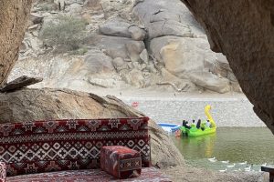 سفاري الطائف (الأسعار + داخل المنتجع + الموقع + آراء الناس)