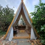 مزرعة مرج الطائف (الأسعار + داخل المزرعة + الموقع + آراء الناس)