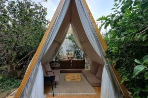 مزرعة مرج الطائف (الأسعار + داخل المزرعة + الموقع + آراء الناس)